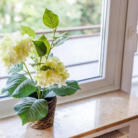 Glueck Auf Ruettenscheiderstrasse דירה