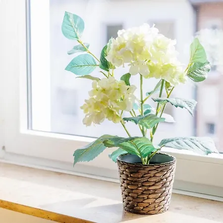 Glueck Auf Ruettenscheiderstrasse * אסן