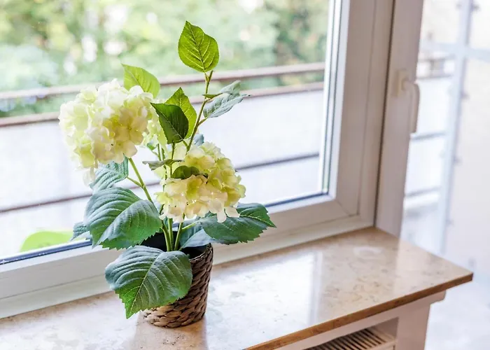 Glueck Auf Ruettenscheiderstrasse Daire